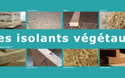 Isolant végétal : pourquoi et comment choisir ce matériau biosourcé ?